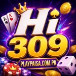 HI309 Game