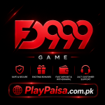 FD999 Game